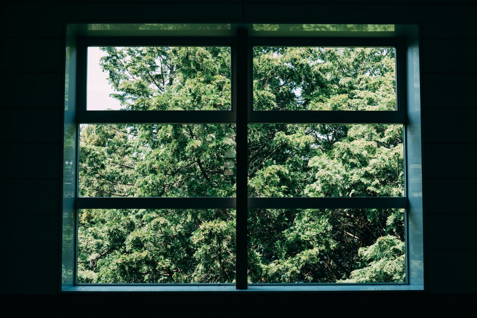 Hard water treatment on garden window